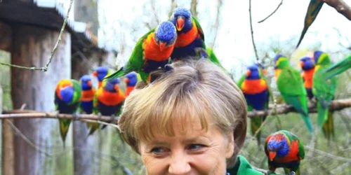 Angela Merkel FOTO Der Spiegel