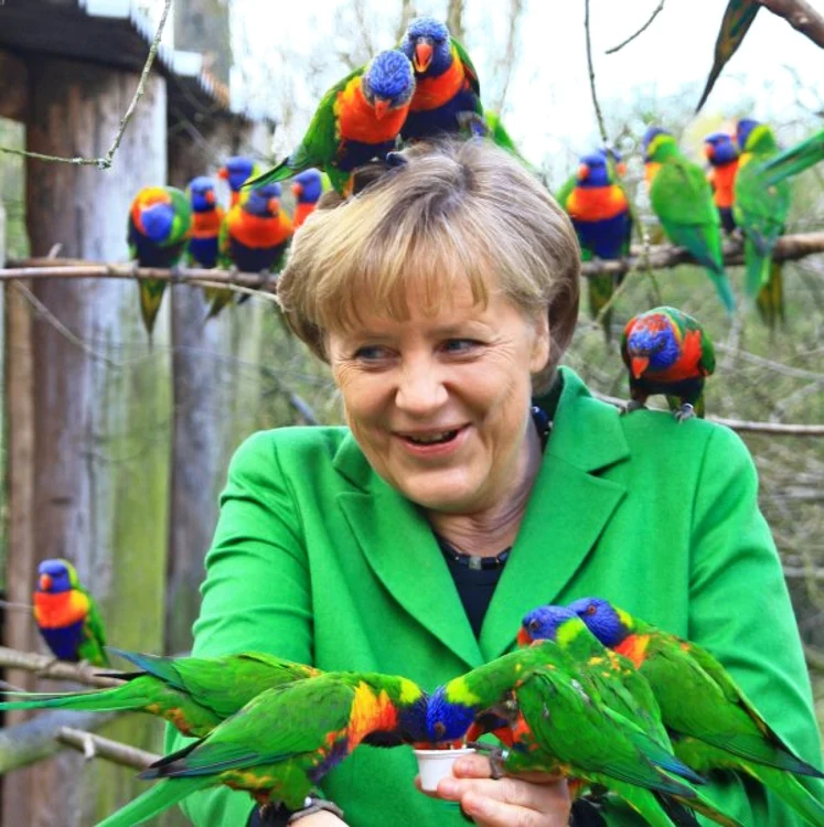 Cancelarul german Angela Merkel, asaltată de papagali în timpul unei vizite la un adăpost de păsări din statul federal Pomerania de Vest, în luna aprilie FOTO Der Spiegel