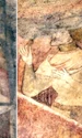 familia corvinilor jpg