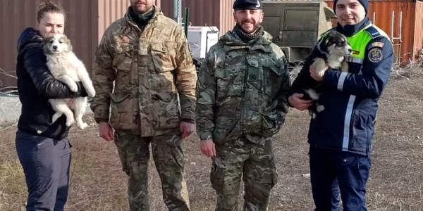 Patru catei salvati poligonul Smardan, foto ipj gl 