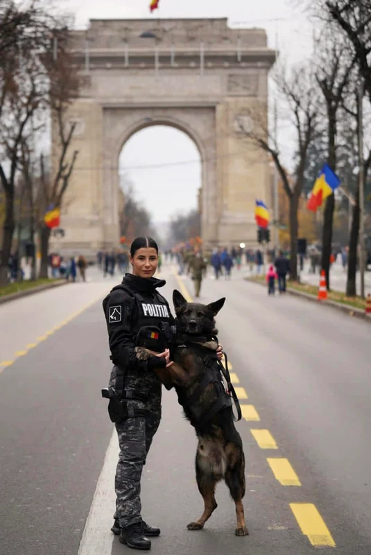 Poliția Canină se pregătește pentru parada de 1 Decembrie. Foto: Facebook MaPN