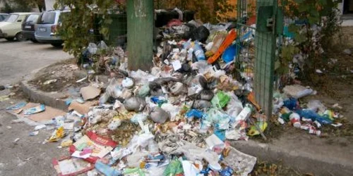 Doar doi administratori au venit să facă reeşalonarea datoriilor