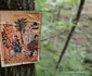 Locul natal al lui Arsenie Boca Foto Daniel Guță ADEVĂRUL (117) jpg