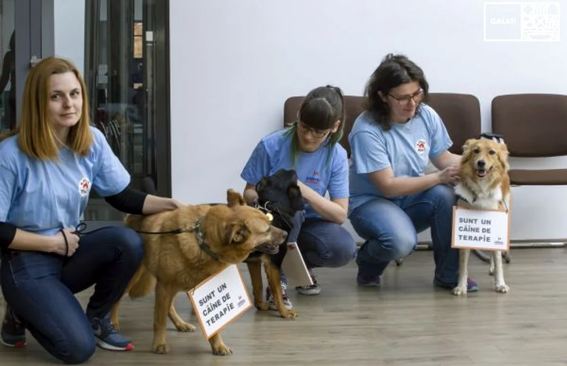 Câţiva dintre câinii reprofilaţi de asociaţie FOTO Animal Society