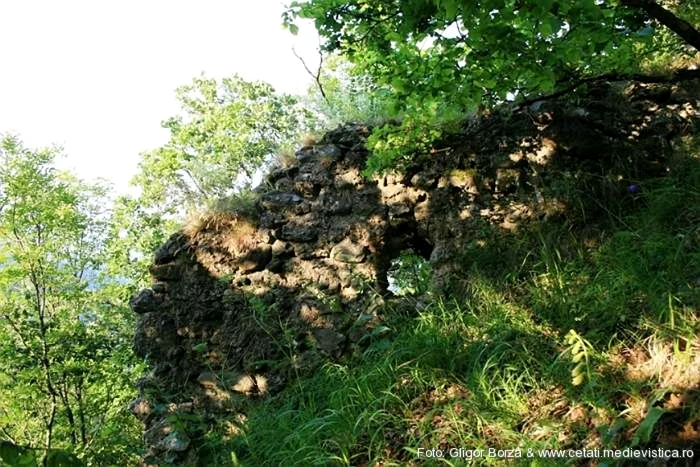 cetatea tauti alba