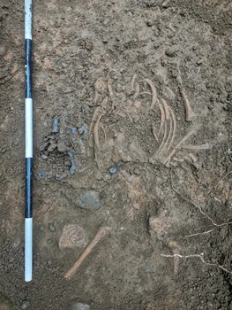 Lacrimarium, vasul funerar descoperit la Târgoviște. FOTO: Florin Petrică