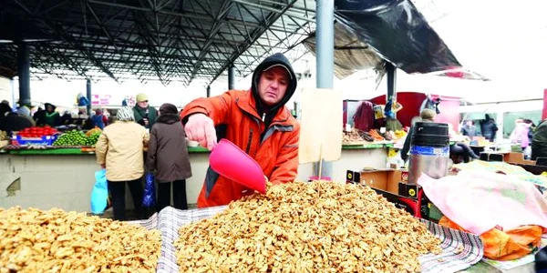 exportatori nuci