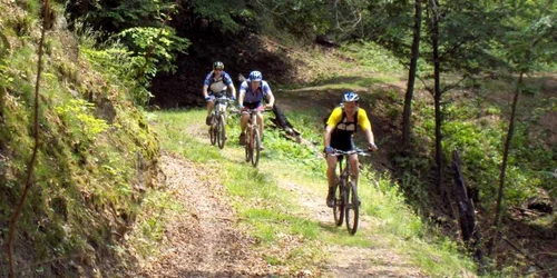 Ture cu bicicleta in munti