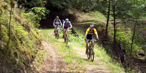 Ture cu bicicleta in munti