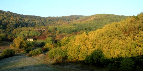 padurea domneasca republica moldova