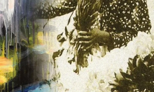 Intre timp – flori si florarese in Bucuresti jpeg