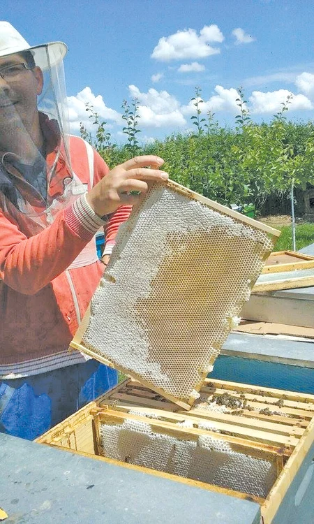 
    Alexandru David produce şi 15 kg de miere la fiecare stup  