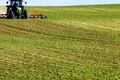 teren agricol