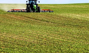 teren agricol