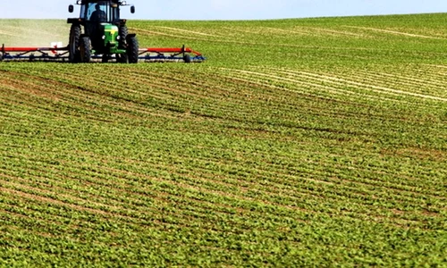 teren agricol