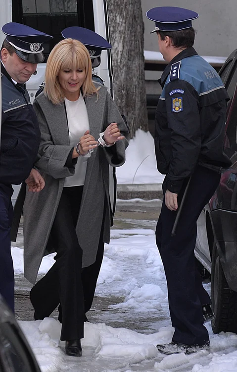 Elana Udrea a mai fost încătușată și în dosarul MicrosoftFoto Click!