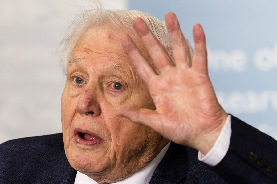 Videoclipul viral cu David Attenborough, care l-a speriat pe celebrul biolog: „Mă îngrijorează că denaturează” VIDEO