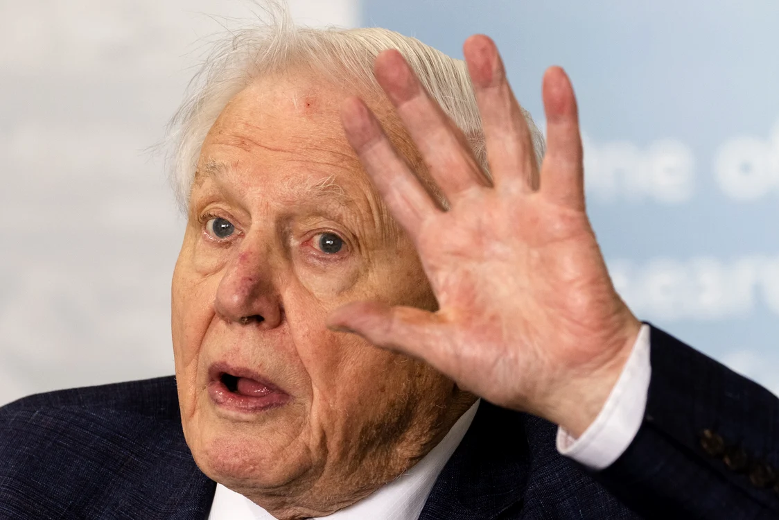 Sir David Attenborough nu a fost încântat de versiunea sa generată de AI FOTO EPA EFE