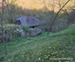 Traseul Mocănițelor Hunedoara Govajdia Foto Daniel Guță ADEVĂRUL (64) JPG