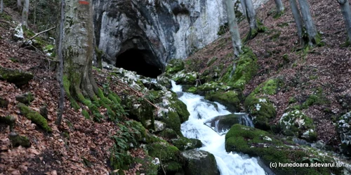 pestera cioclovina ianuarie 2021 foto daniel guta adevarul