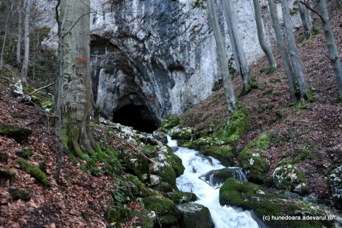 Râul Luncani şi Peştera Cioclovina. Foto: Daniel Guţă. ADEVĂRUL.