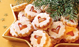 CLIIMA20121219 0061 1 jpeg