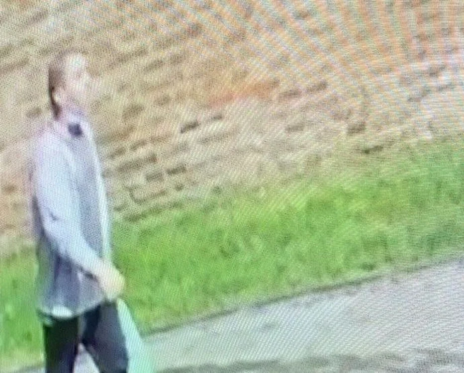 Bărbatul suspectat de distrugere este căutat de poliţie. Foto: IPJ Alba