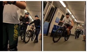 BeFunky collage   2026 04 20T123144 915 jpg