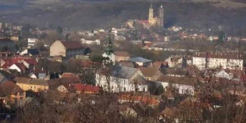 judetul arad