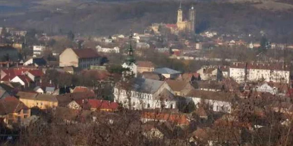 judetul arad