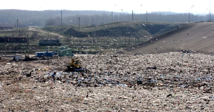 FOTO viata-libera.ro