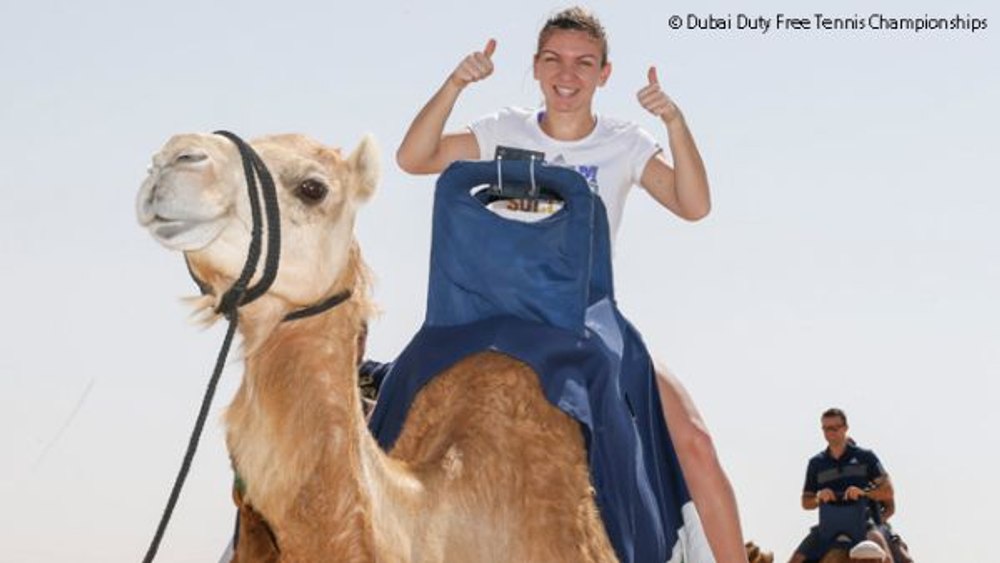 Arabii ne „fură“ fetele: Halep s-a mutat și ea în Dubai. Primele explicații pentru decizia luată