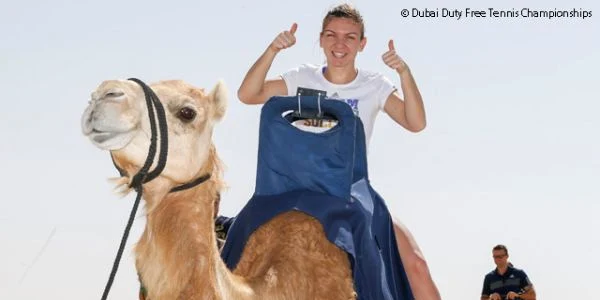 Halep Dubai jpg