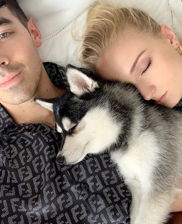 Joer Jonas şi Sophie Turner adoptaseră căţeluşul pe nume Waldo în luna aprilie