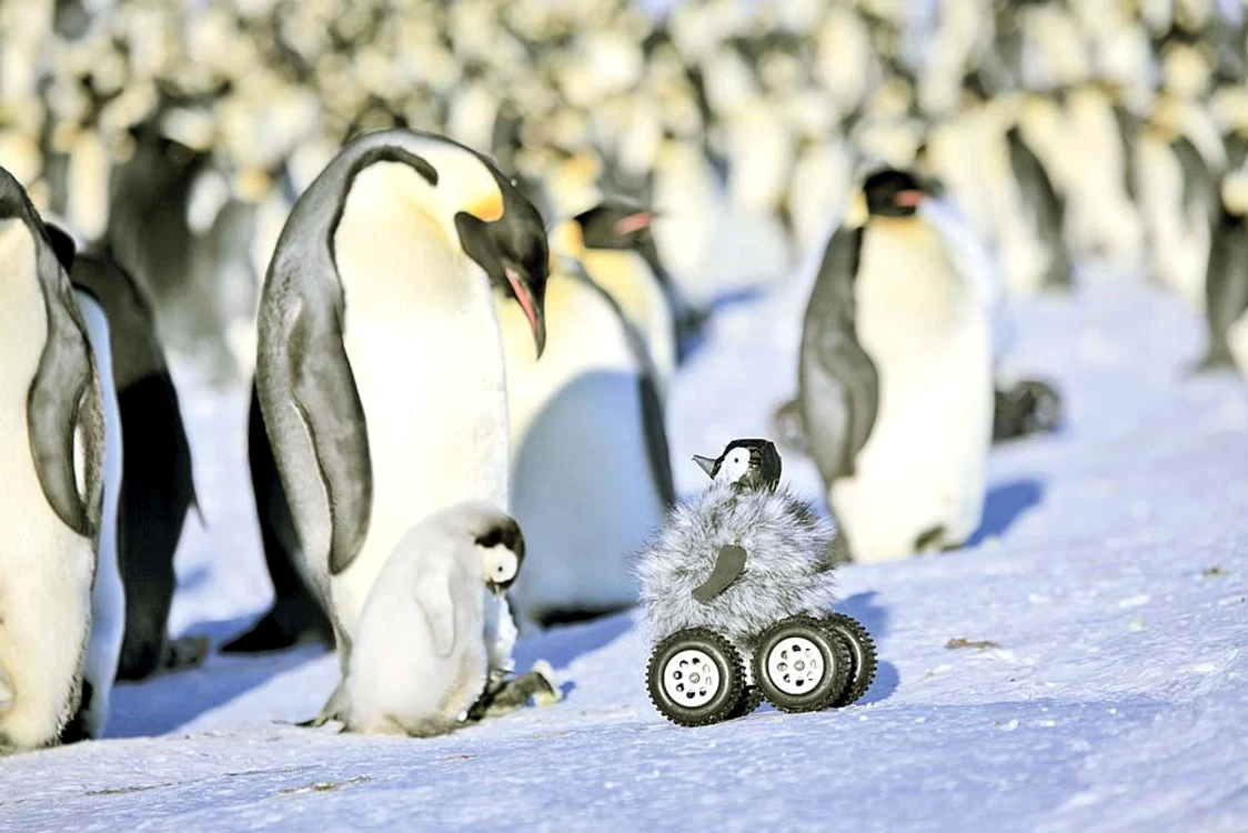 Pinguin de pluş