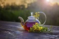3 sanziene ceai shutterstock 1511515466 jpg jpeg
