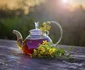 3 sanziene ceai shutterstock 1511515466 jpg jpeg