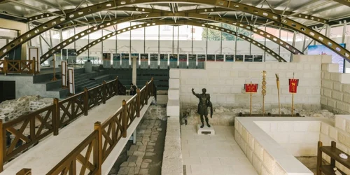 vaccinare muzeu alba