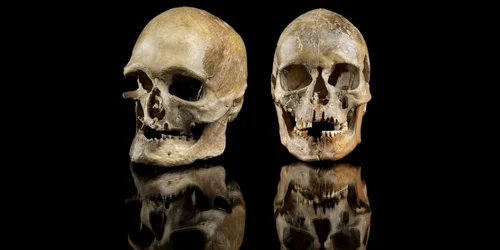 Două cranii îngropate în urmă cu aproximativ 14.000 de ani, în vestul Germaniei actuale (© Jürgen Vogel / LVR-LandesMuseum Bonn)