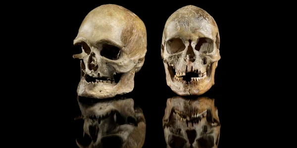 Două cranii îngropate în urmă cu aproximativ 14.000 de ani, în vestul Germaniei actuale (© Jürgen Vogel / LVR-LandesMuseum Bonn)
