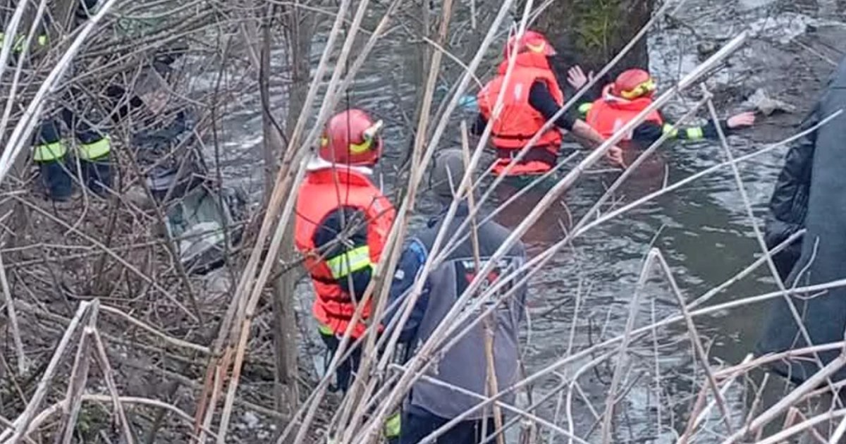 Fratele celor doi copii înecați din Chirpăr, dat în plasament