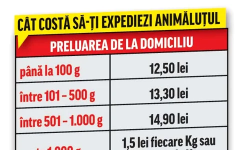 tabel 18 jpeg