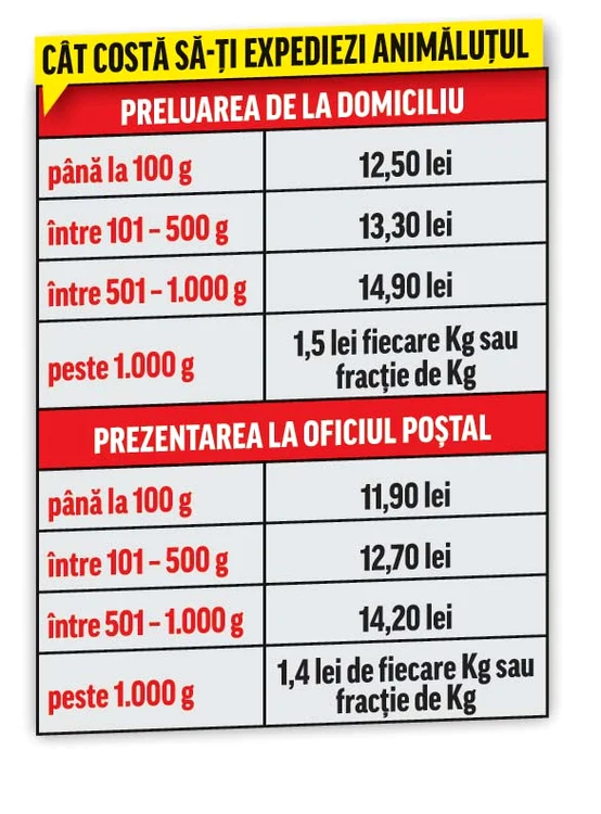 Marco Reus e vedeta fostei campioane a GermanieiFoto: AP