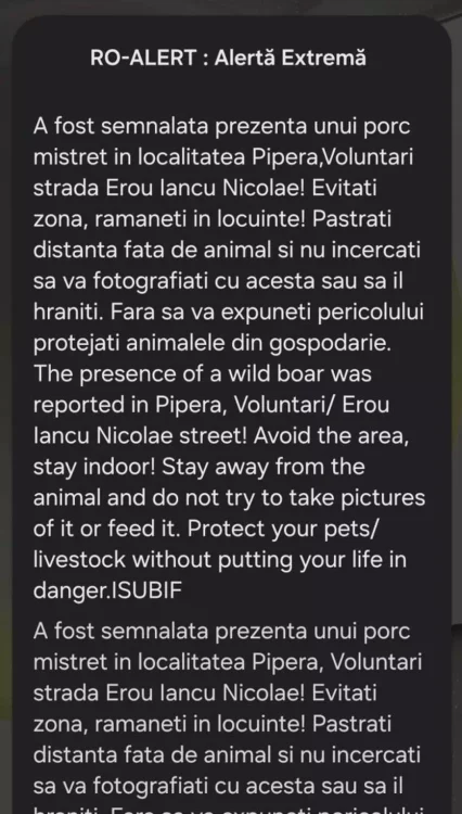 Mesaj RO-Alert care semnalează prezența mistreților pe străzi