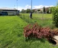 Stadionul Michael Klein din Hunedoara Foto Daniel Guță ADEVĂRUL (97) JPG