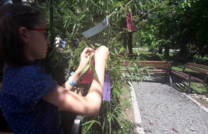 Tanabata Matsuri - sărbătorită în premieră la Timişoara