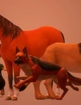 Test  Primul animal pe care l observi îţi dezvăluie starea emoţională jpg