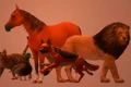Test  Primul animal pe care l observi îţi dezvăluie starea emoţională jpg