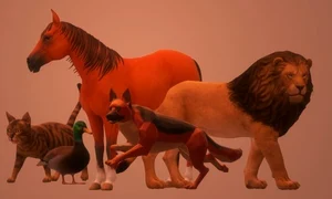 Test  Primul animal pe care l observi îţi dezvăluie starea emoţională jpg
