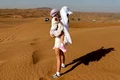 evadare dubai heute jpg